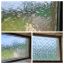 SX-1259 Wavy Glass Film